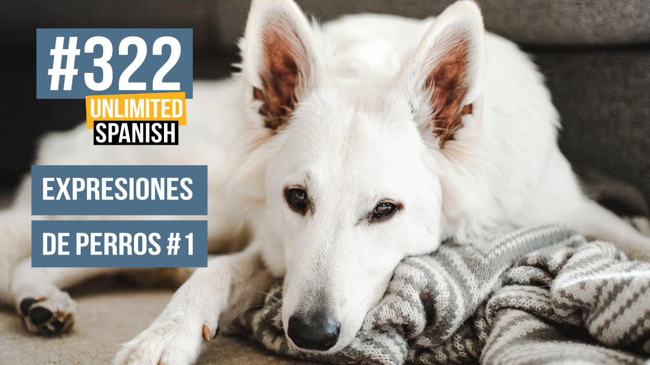 Expresiones de perros 1