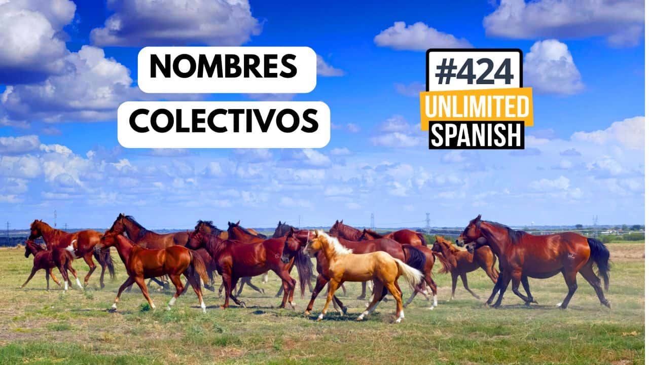 Nombres colectivos en español